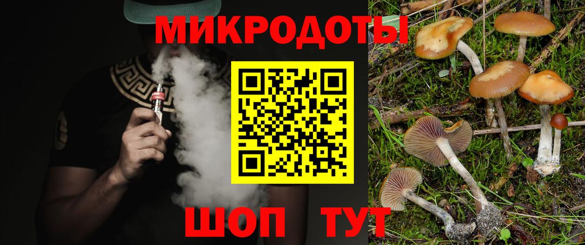 Псилоцибиновые грибы GOLDEN TEACHER Знаменск