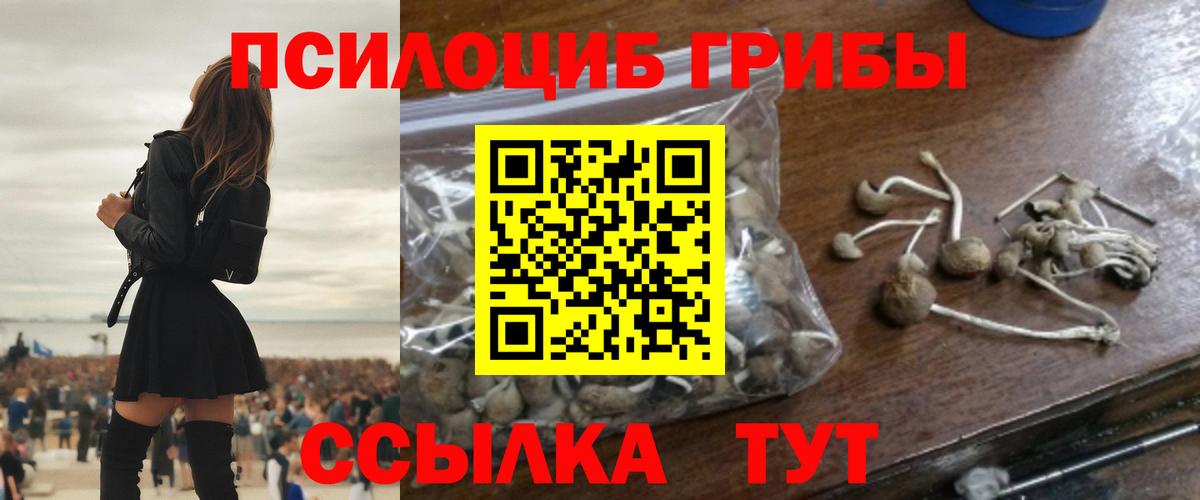 Знаменск  Псилоцибиновые грибы Cubensis  Вход с VPN  Галлюциногенные грибы MAGIC MUSHROOMS 